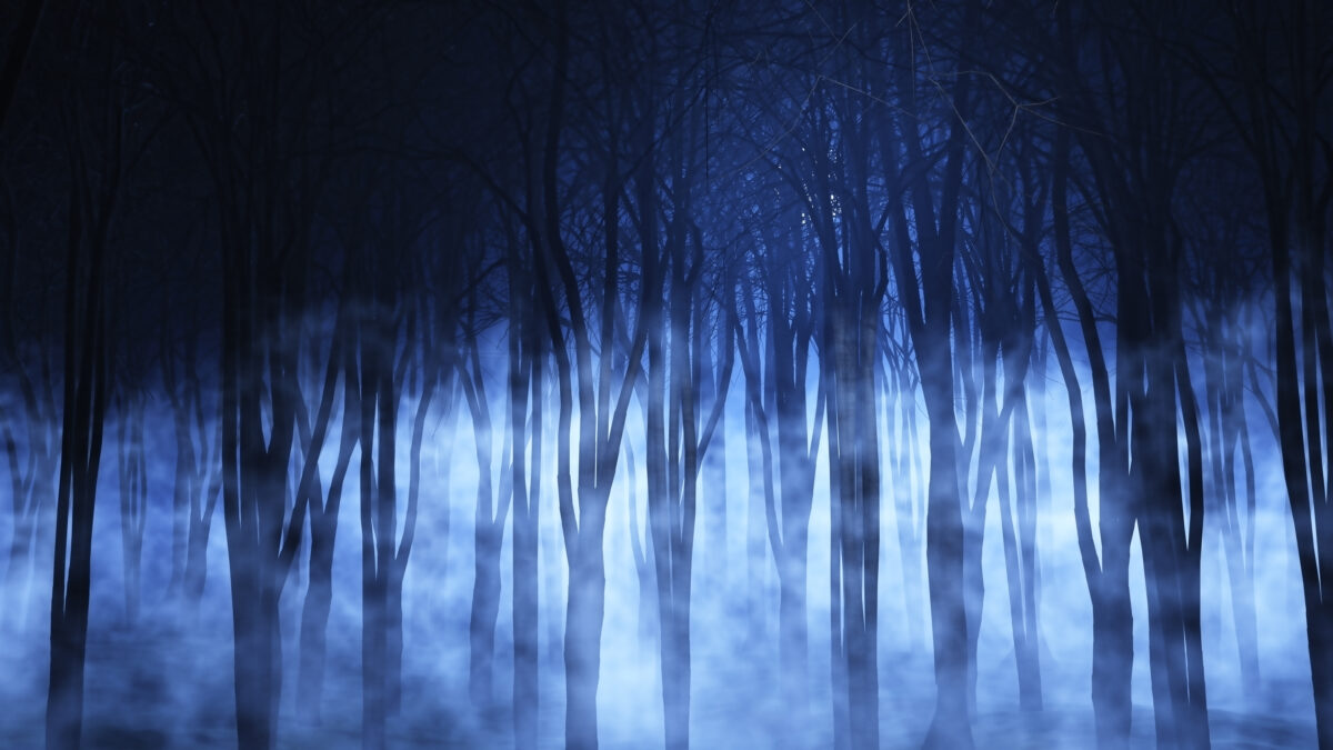 Hmlistý nočný les s tmavými siluetami stromov v modrom osvetlení, vytvárajúci tajomnú atmosféru.