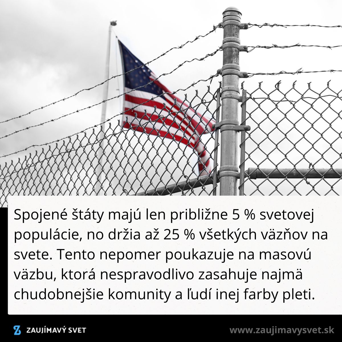 Americká vlajka za pletivovým plotom a ostnatým drôtom, symbolizuje nespravodlivú väzbu pre marginalizované komunity v USA.