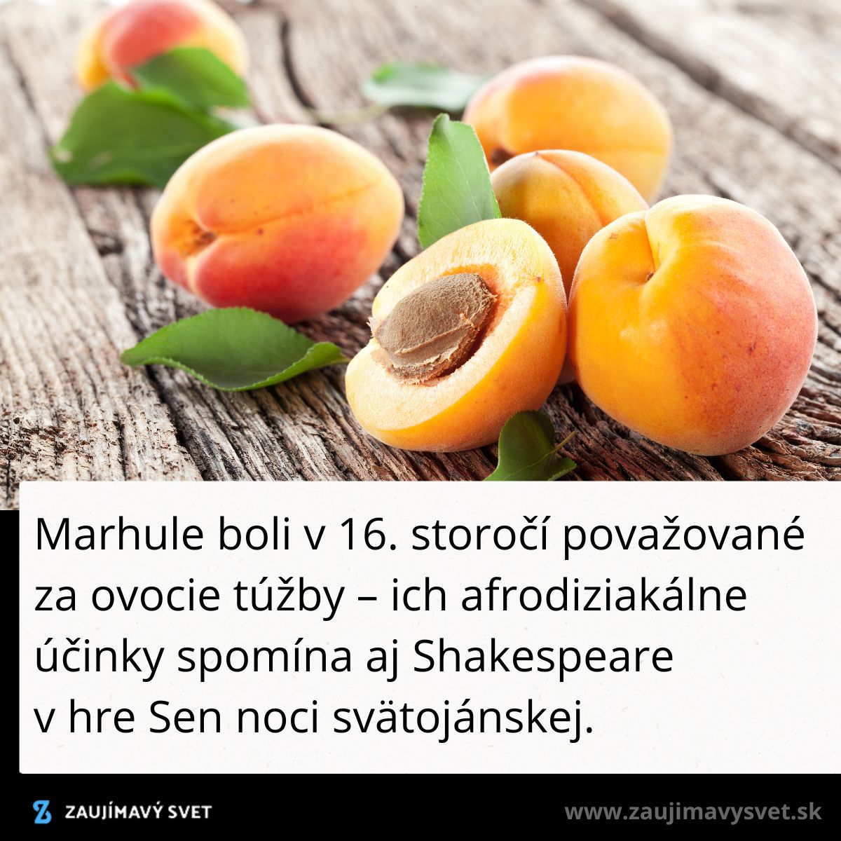 Marhule na drevenom stole, symbol lásky a túžby z 16. storočia so zmienkou v Shakespearovej hre.