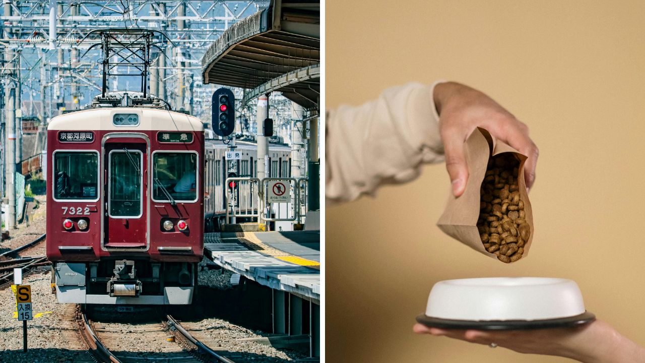 Červený vlak na stanici v Japonsku a ruka sypajúca granule do misky na krémovom pozadí.