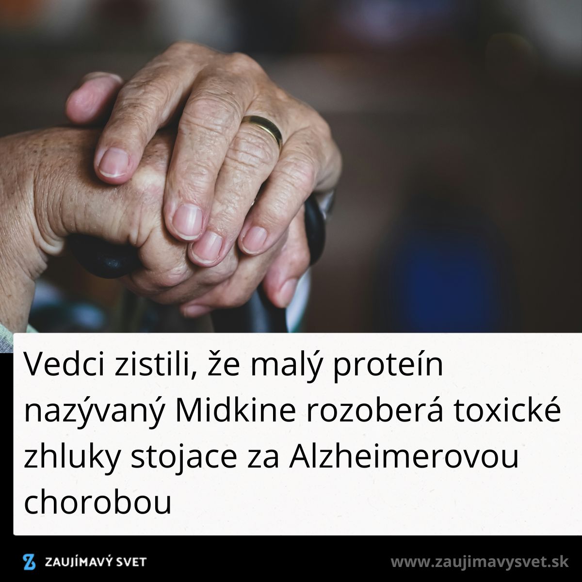 Ruky staršieho človeka s palicou, text o proteíne Midkine pomáha pri Alzheimerovej chorobe.