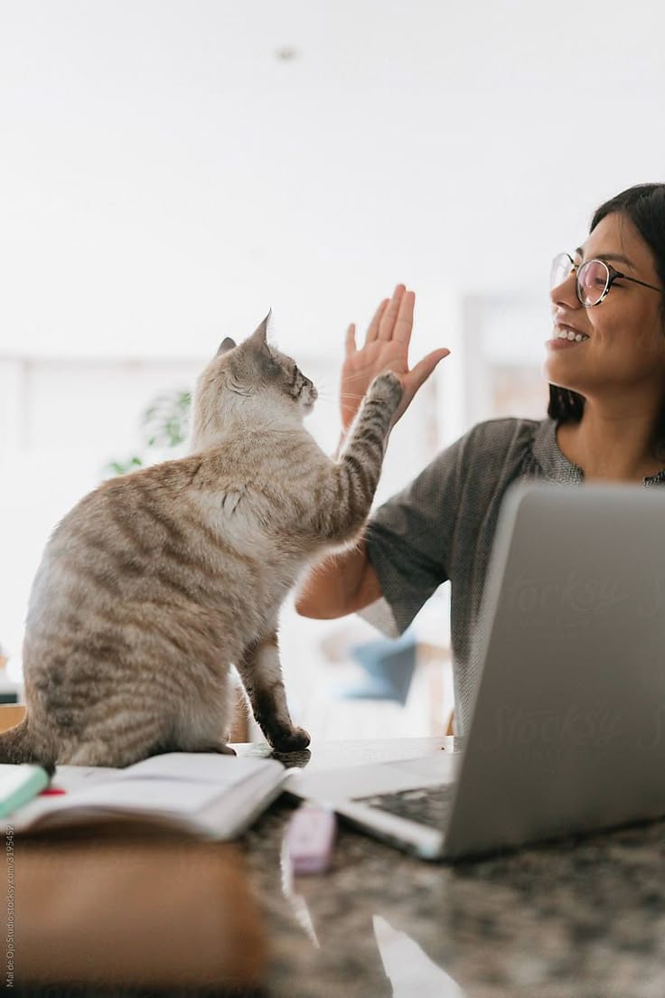 Mačka a žena si dávajú high-five pri notebooku, úsmev a interakcia v domácom prostredí.