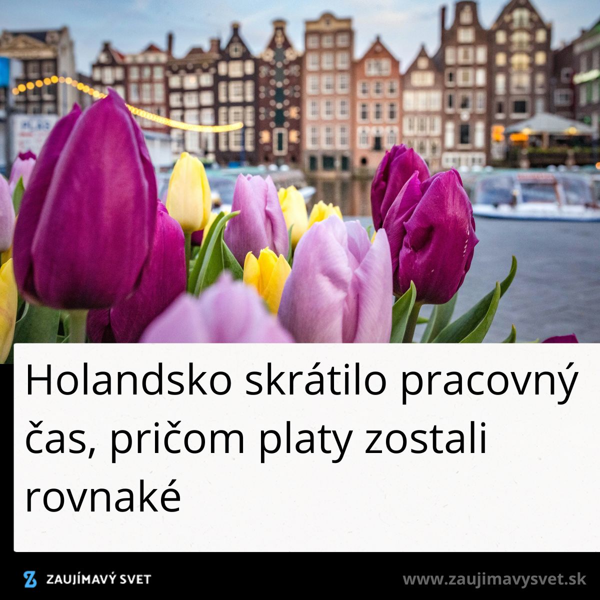 Krásne tulipány na pozadí tradičnej holandskej architektúry v Amsterdame.