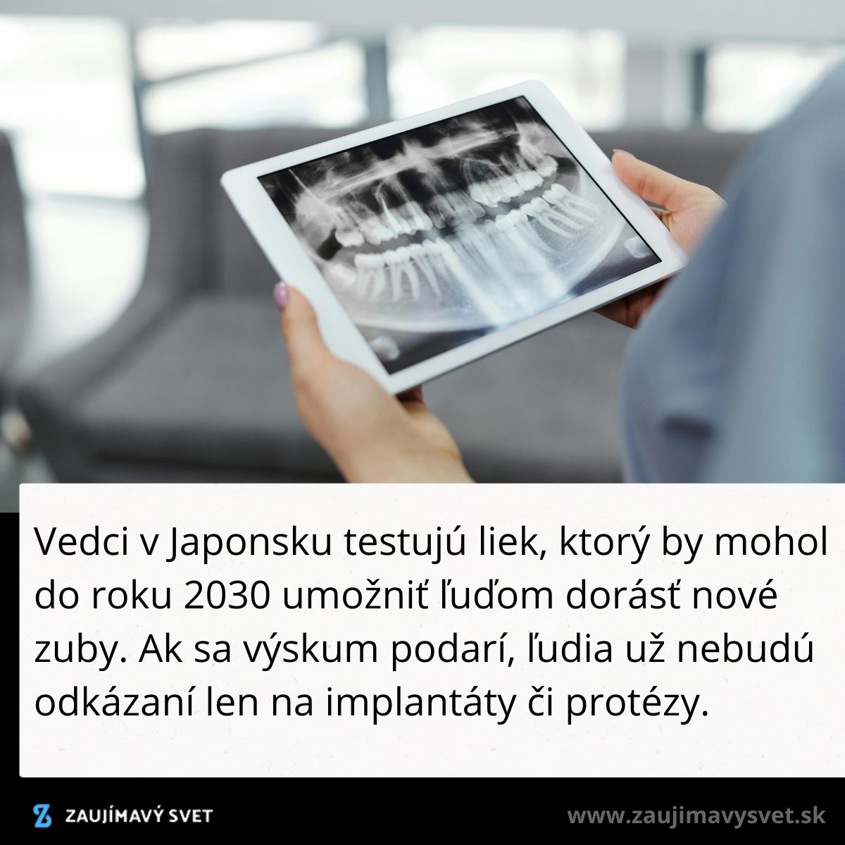 Osoba drží tablet s röntgenom zubov; text o testovaní lieku na obnovu zubov v Japonsku.