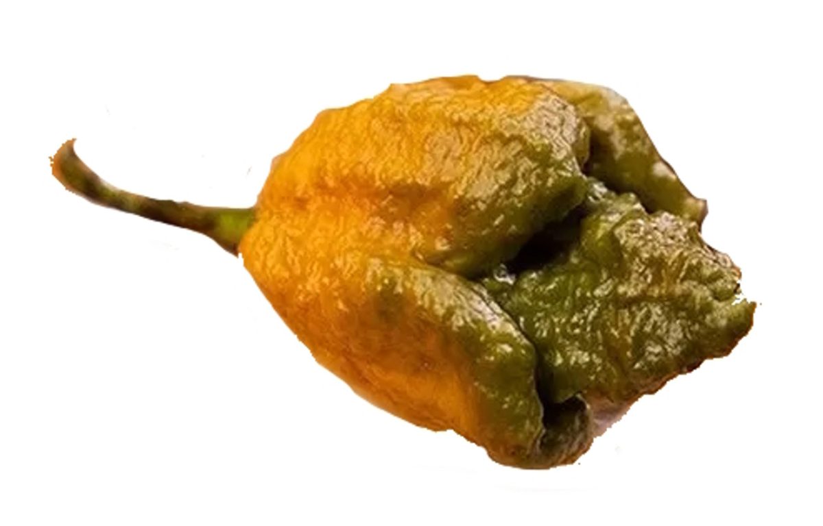 Žltá a zelená chilli paprička s jemne vráskavým povrchom a stonkou na bielom pozadí.