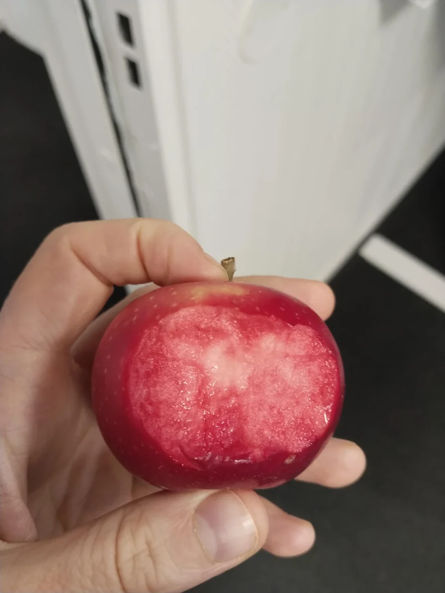 Červené jablko s odhryznutým kúskom v ruke, detailný pohľad.
