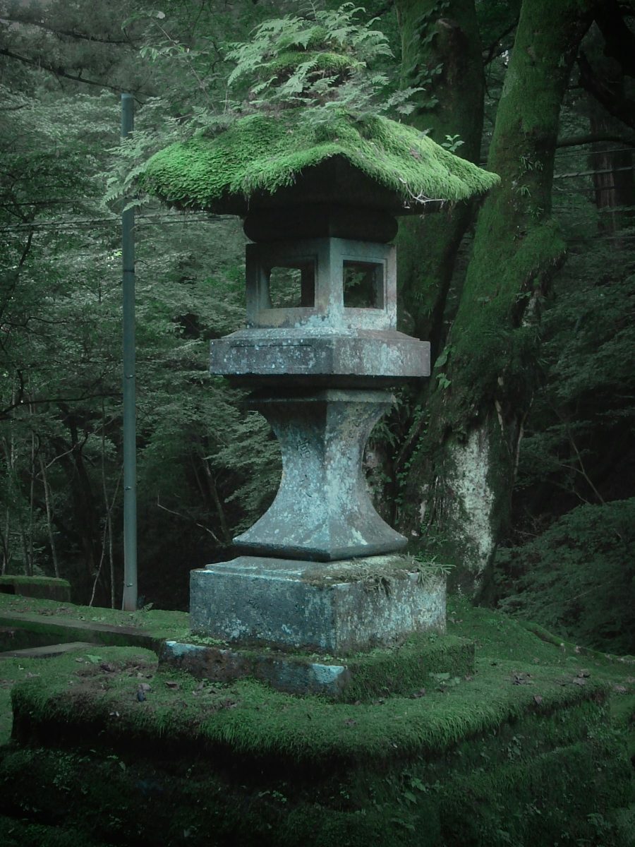 Kamenná lampa pokrytá machom v pokojnej lesnej scéne, zdôrazňujúca spojenie prírody a architektúru v japonskom štýle.