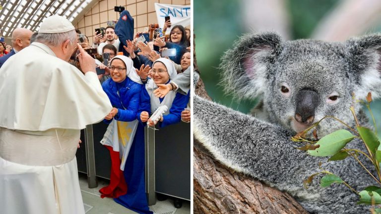 Skupina ľudí sa fotí s mužom v bielom rúchu; vedľa koala na strome odpočíva medzi listami.