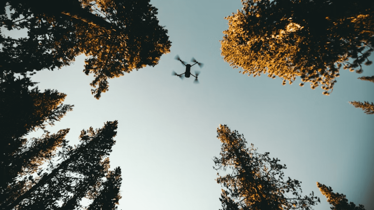Dron letí nad vrcholmi stromov počas jasného dňa, pohľad smerom hore na oblohu.