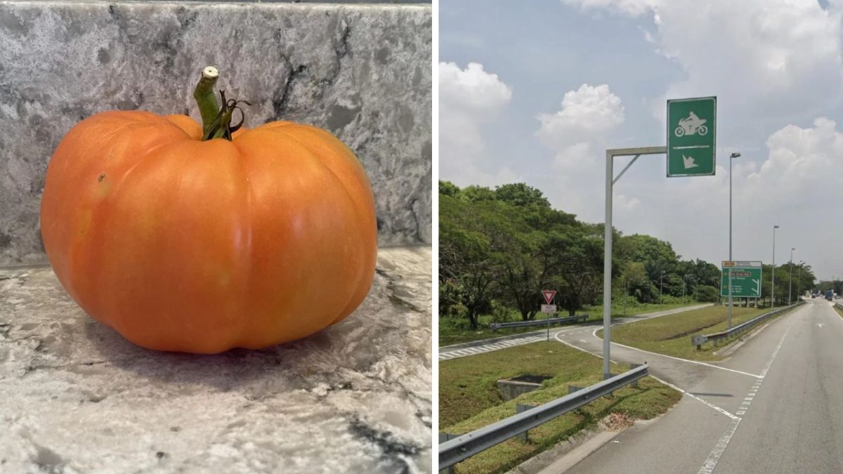Veľká oranžová paradajka na mramorovej doske vedľa cesty s motocyklovou dopravnou značkou a stromami.