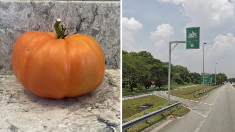 Veľká oranžová paradajka na mramorovej doske vedľa cesty s motocyklovou dopravnou značkou a stromami.