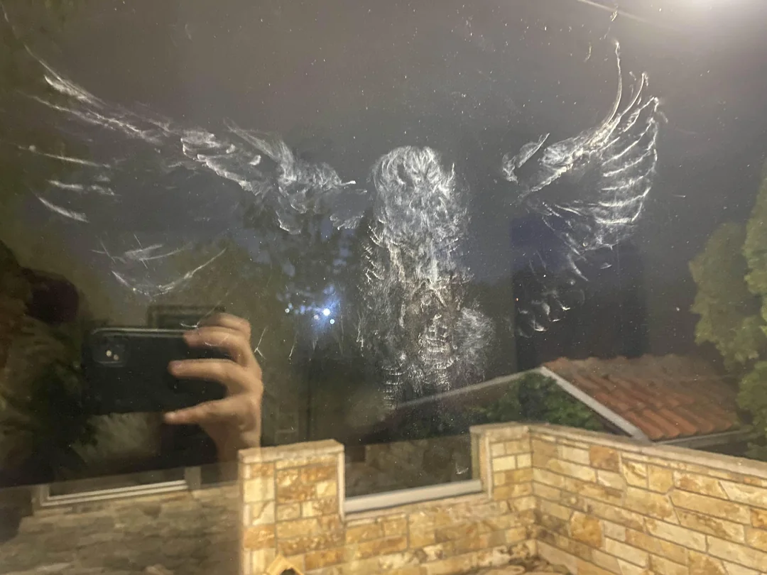 Odtlačok vtáčích krídel na okne s odrazom kamennej terasy a rúk s mobilom.