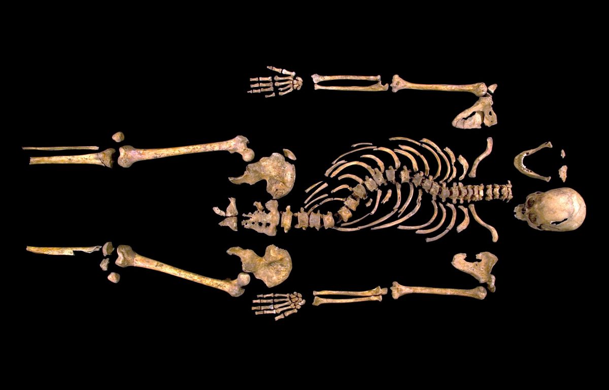 Archeologický nález kostry na čiernom pozadí, detailne ukazujúci ľudské kosti.