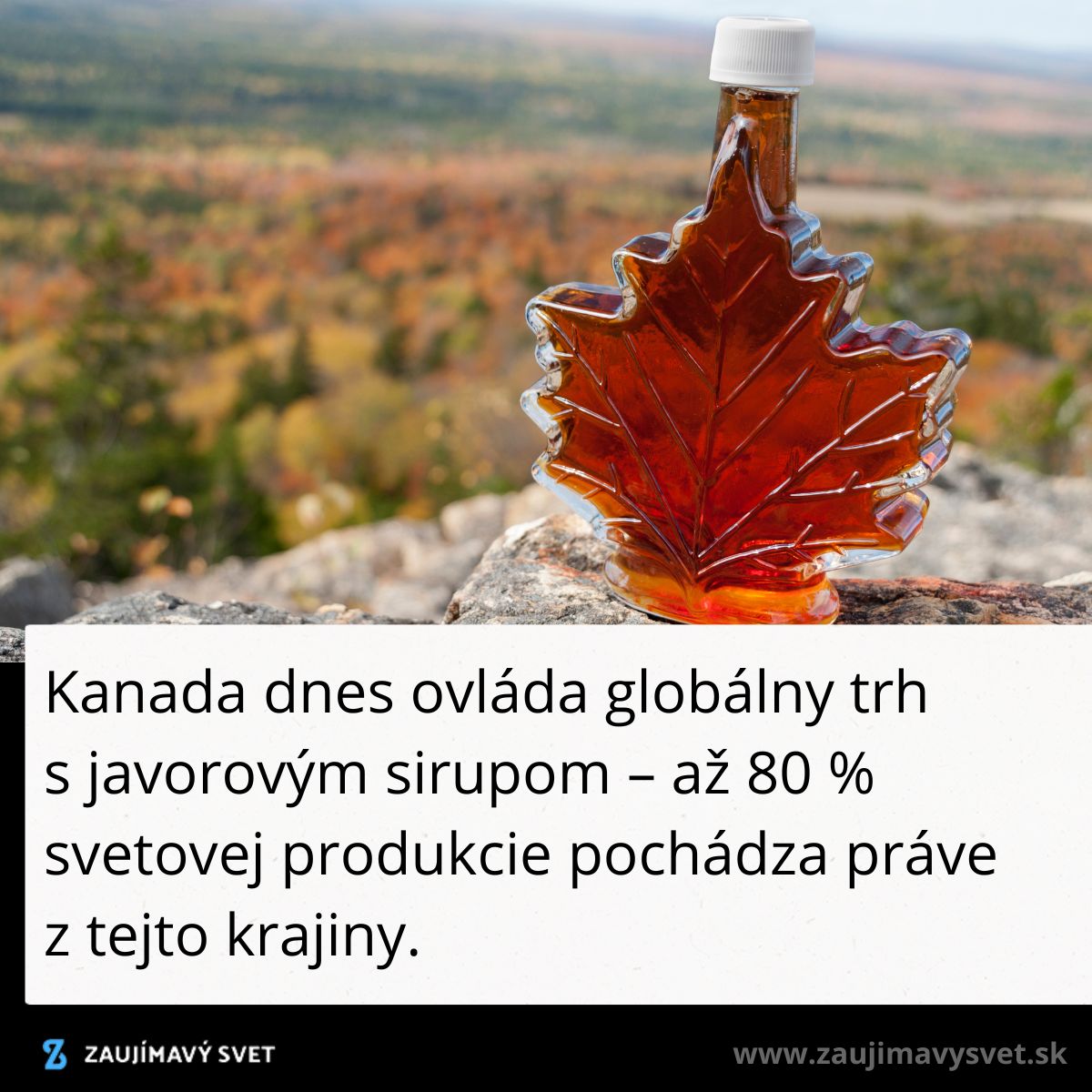 Fľaša v tvare javorového listu s javorovým sirupom na pozadí jesenného lesného výhľadu.