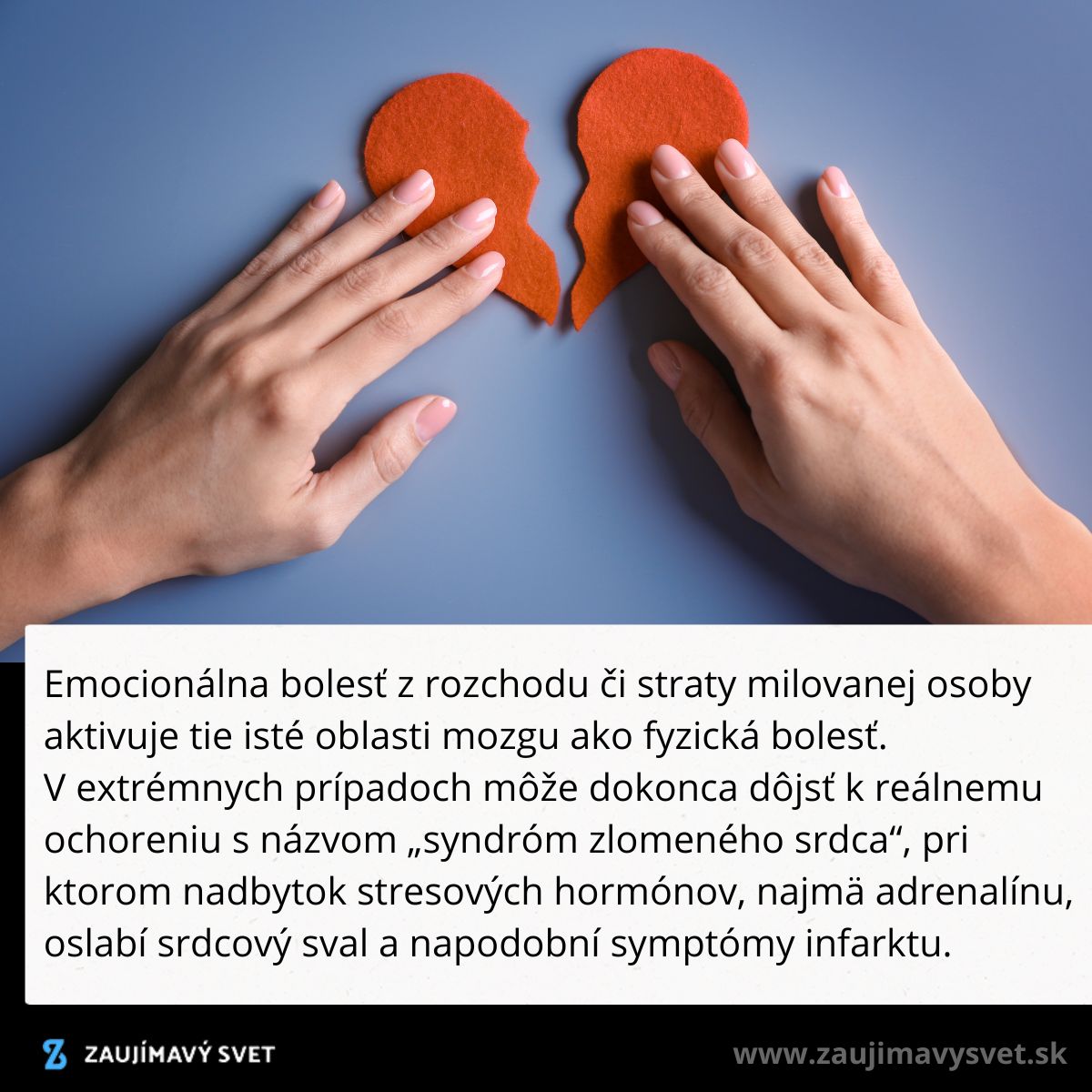 Ruky skladajúce rozbité srdce z červenej plsti, symbolizujúce emocionálnu bolesť a rozchod.