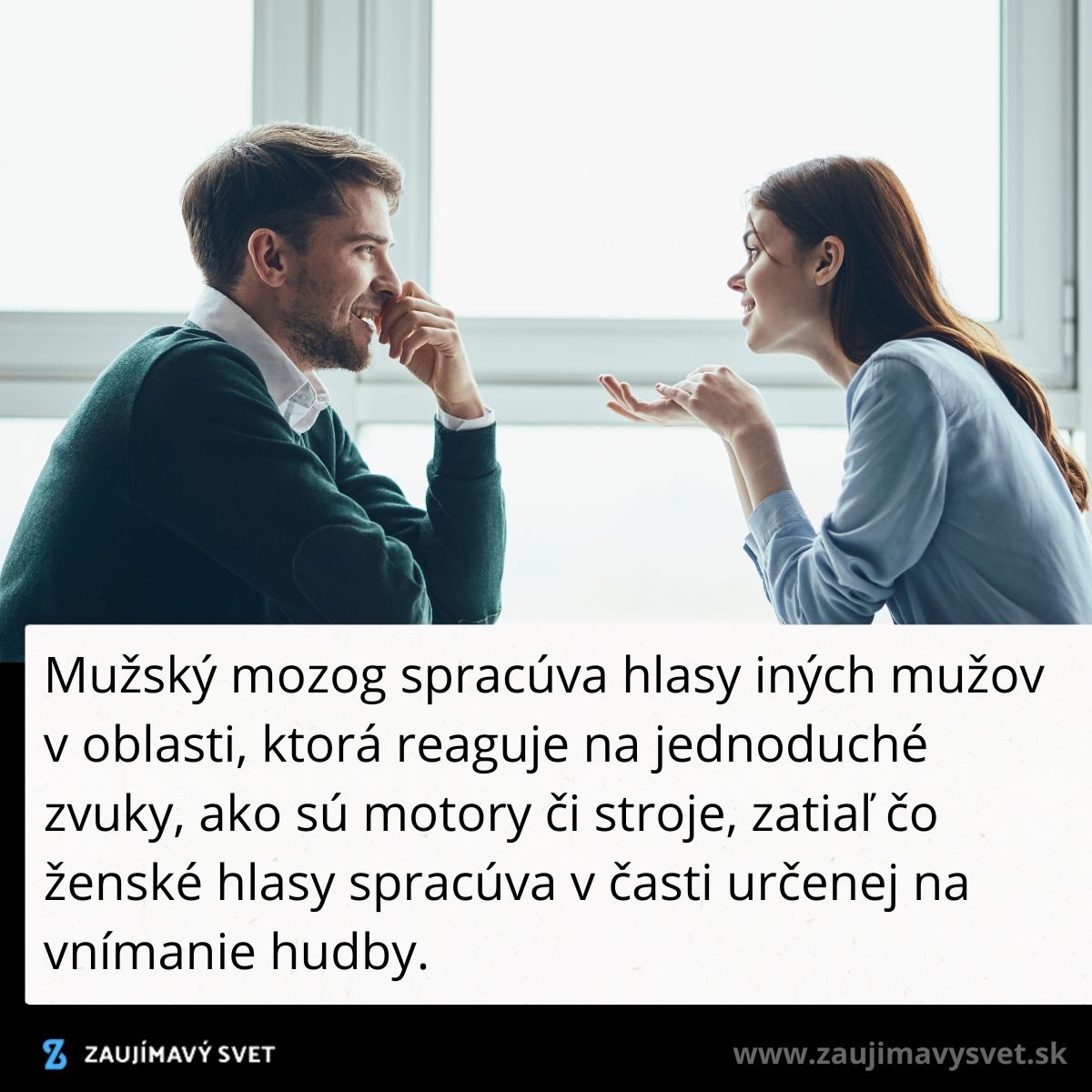 Pár muž a žena v diskusii, sediaci naproti sebe, ilustrácia rôzneho spracovania hlasov mužským a ženským mozgom.