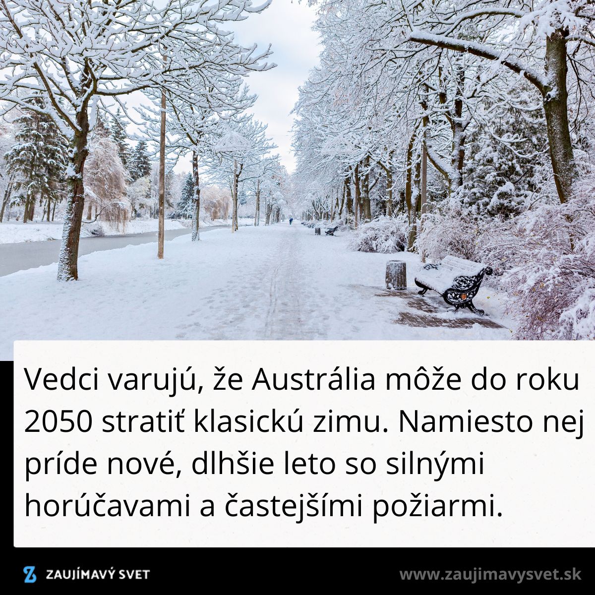 Zasnežená alej s lavičkou vedľa rieky, pripomienka zimy v kontexte klimatickej zmeny v Austrálii.