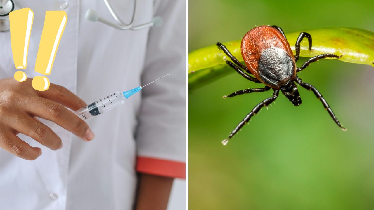 Lekár s injekciou, kliešť na liste, zdravotná prevencia a očkovanie proti kliešťovej encefalitíde.