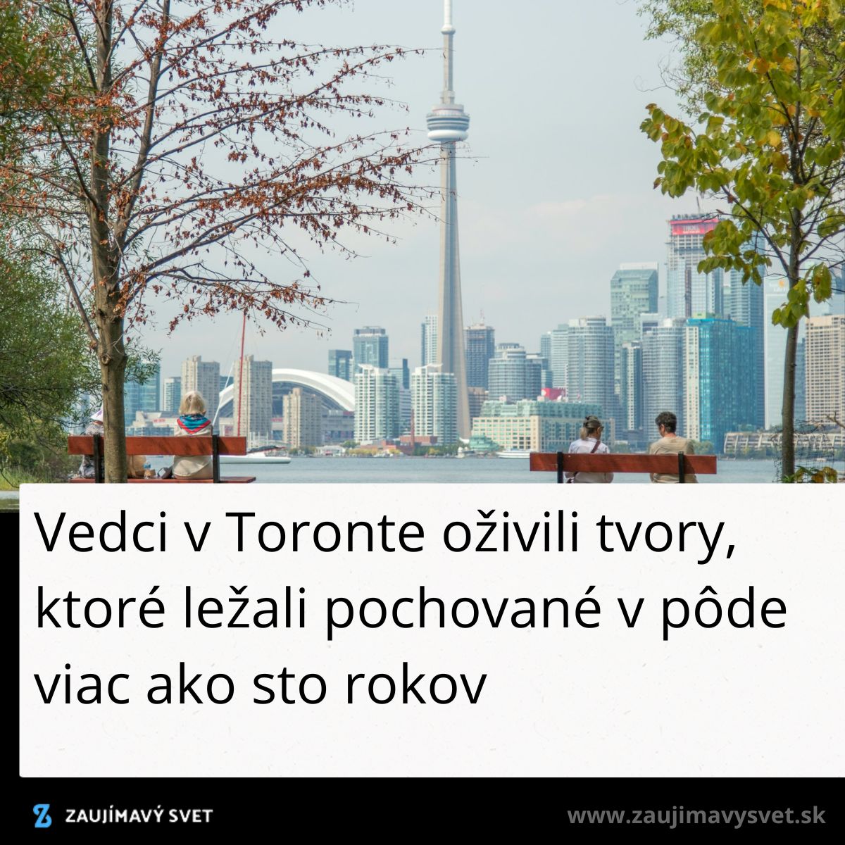 Vyhliadka na Toronto s CN Tower a ľuďmi sediacimi na lavičke s jesennou prírodou v popredí.