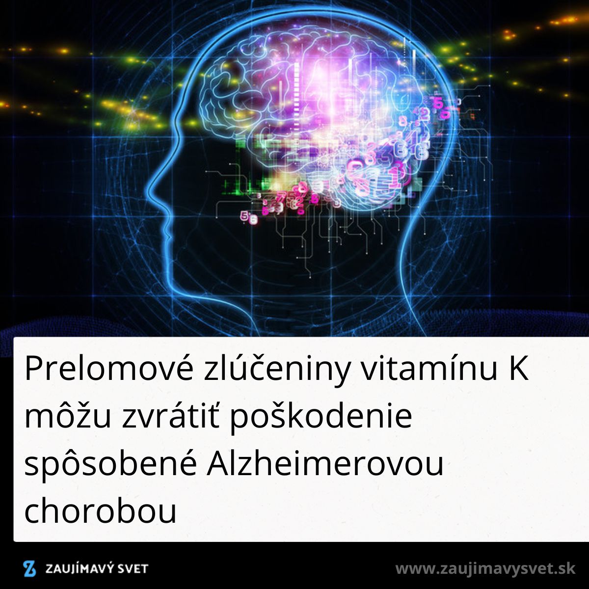 Ilustrácia mozgu s textom o zlúčeninách vitamínu K na liečbu Alzheimerovej choroby.