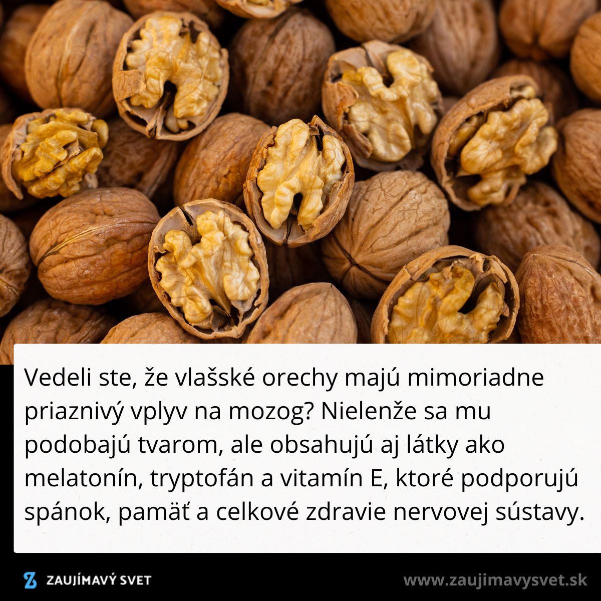 Vlašské orechy so škrupinou a vnútornou štruktúrou, ktoré podporujú zdravie mozgu a nervového systému.