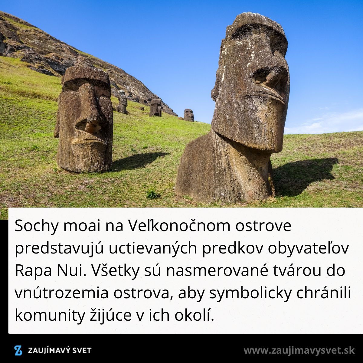 Sochy moai na Veľkonočnom ostrove stojace na svahu, symbolizujúce ochranu miestnej komunity.