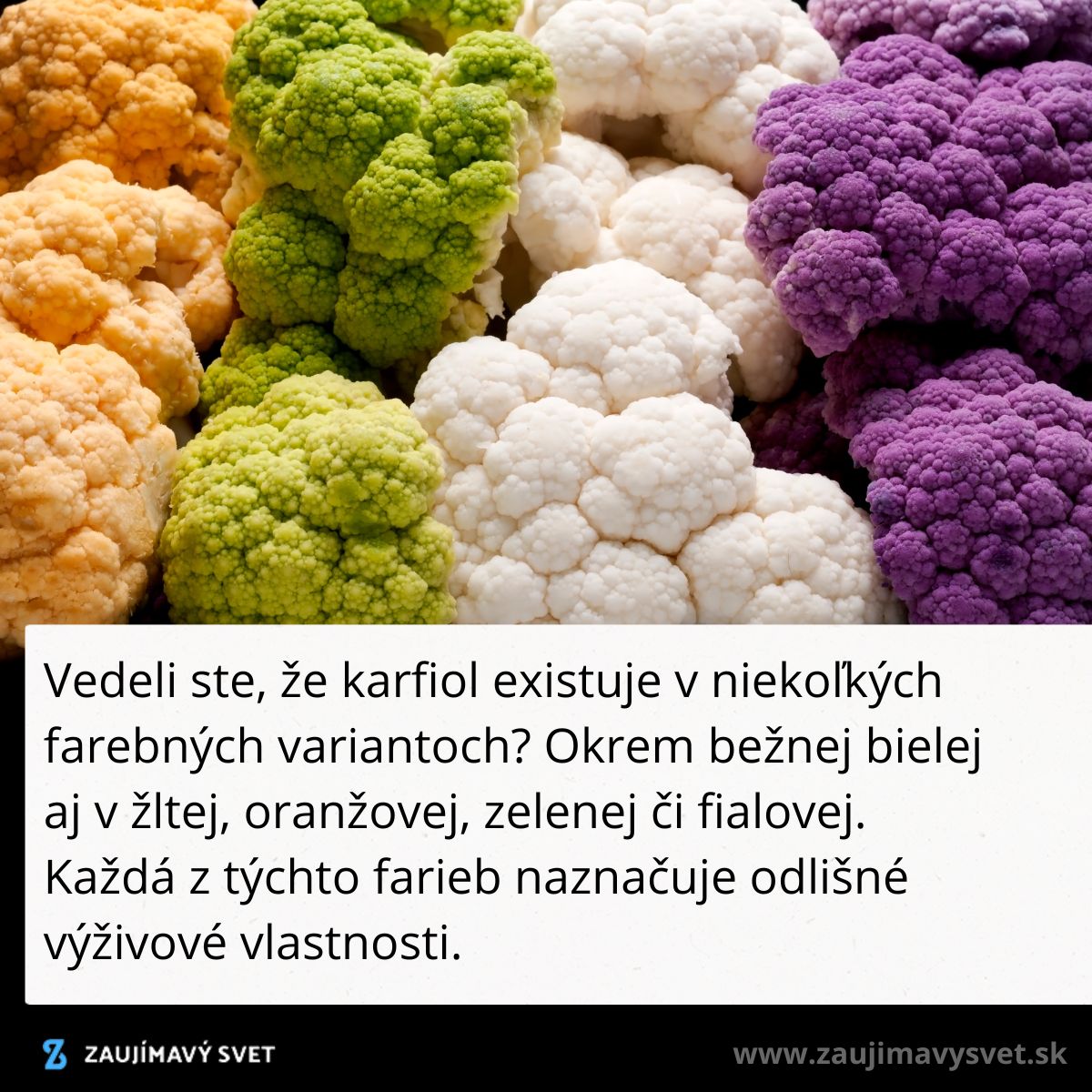 Farebný karfiol v odtieňoch bielej, oranžovej, zelenej a fialovej s rôznymi výživovými vlastnosťami.
