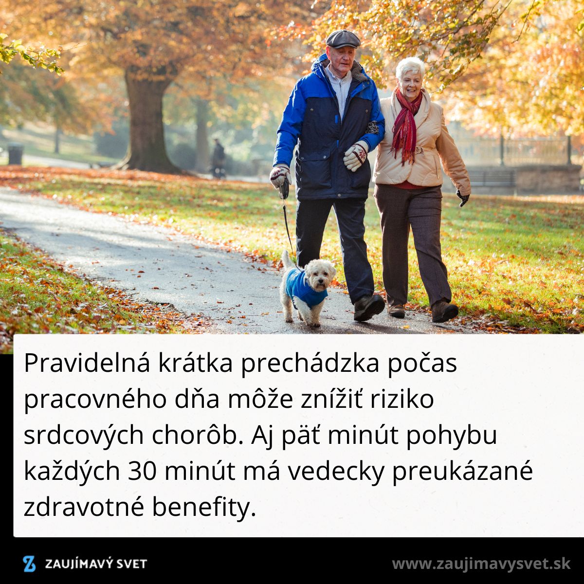 Starší pár na prechádzke v parku so psom počas jesenného dňa, zdôrazňujúc dôležitosť pohybu pre zdravie.