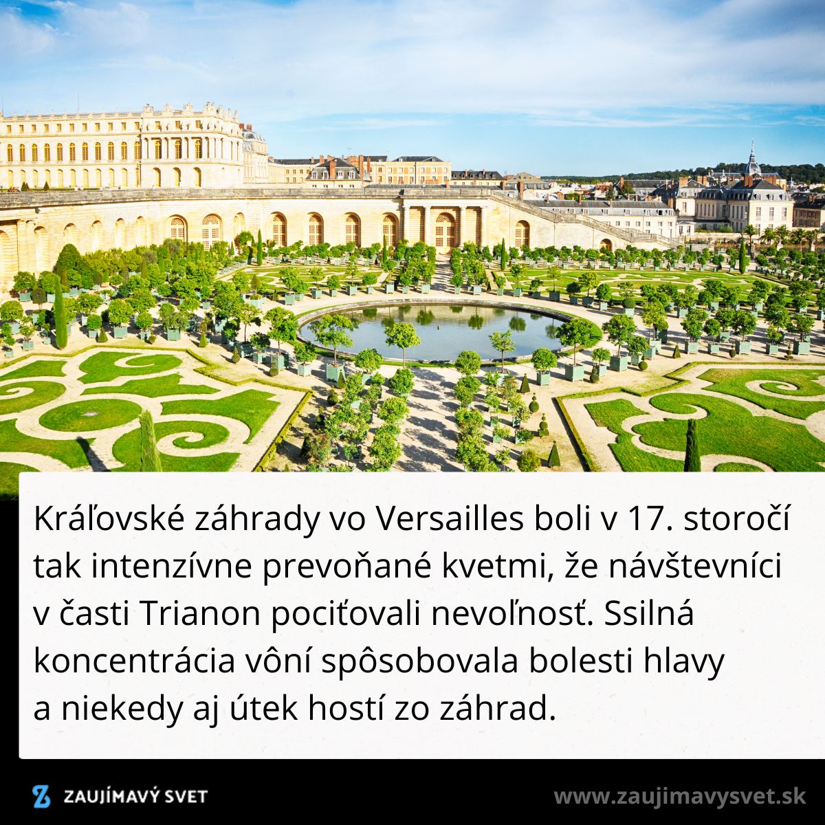 Královské záhrady vo Versailles s nádhernými tvarmi a zeleňou v historickom prostredí paláca.