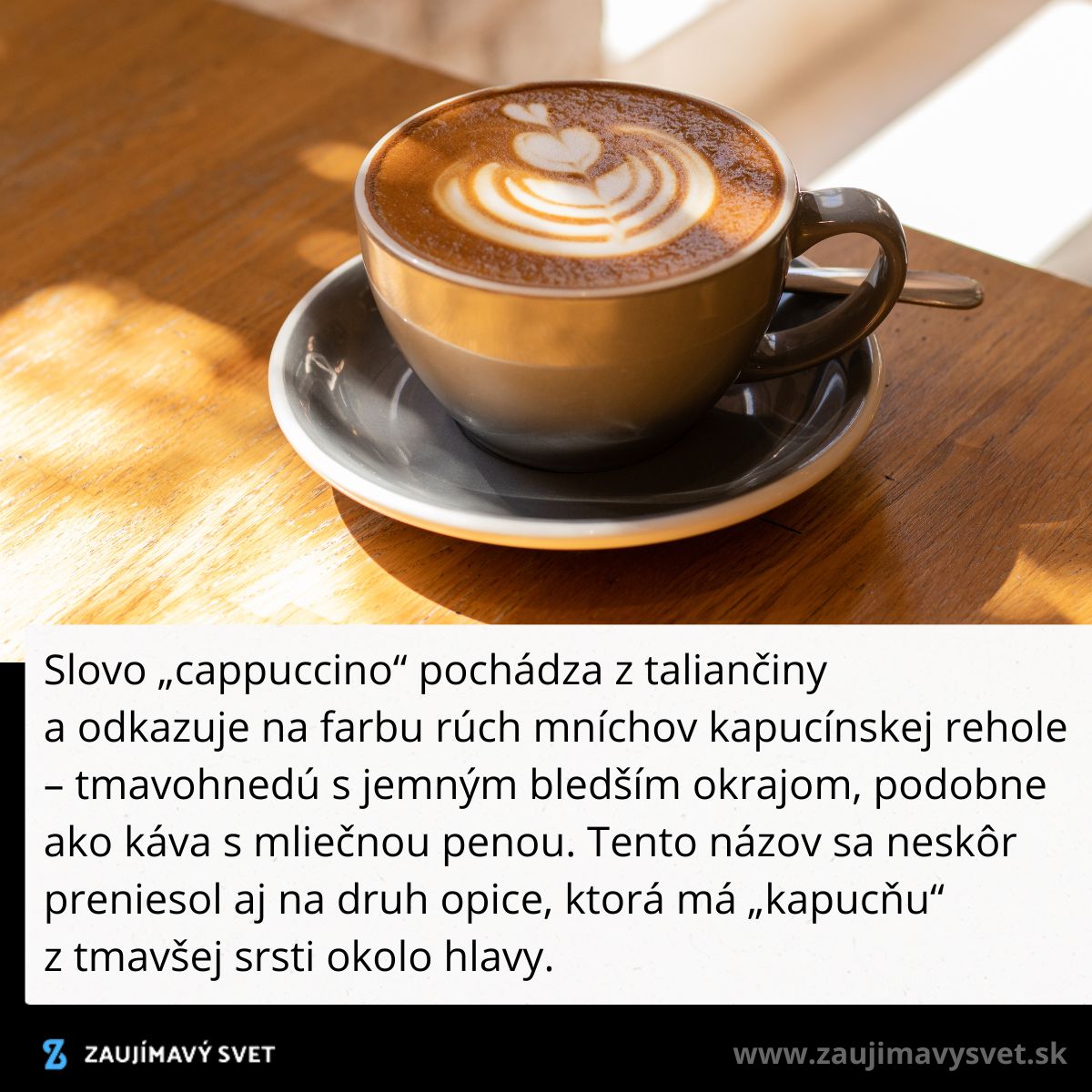 Šálka cappuccina s jemnou mliečnou penou v kaviarni, svetlo dopadajúce na drevený stôl.