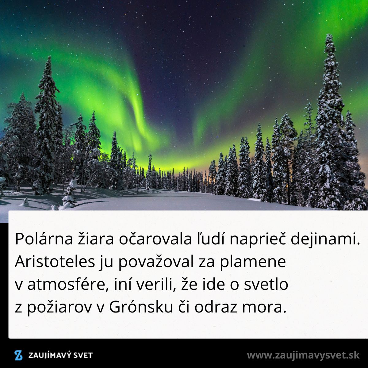 Polárna žiara osvetľuje zasnežený les pod hviezdnou oblohou, farebné svetlá tancujú na severe.