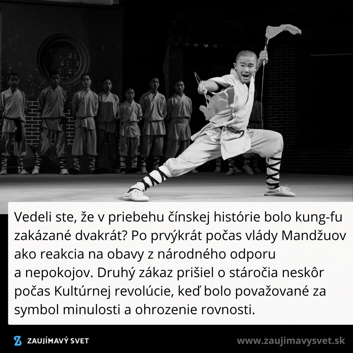 Muž predvádza dynamické kung-fu pohyby, v pozadí stojí skupina v uniforme na scéne.