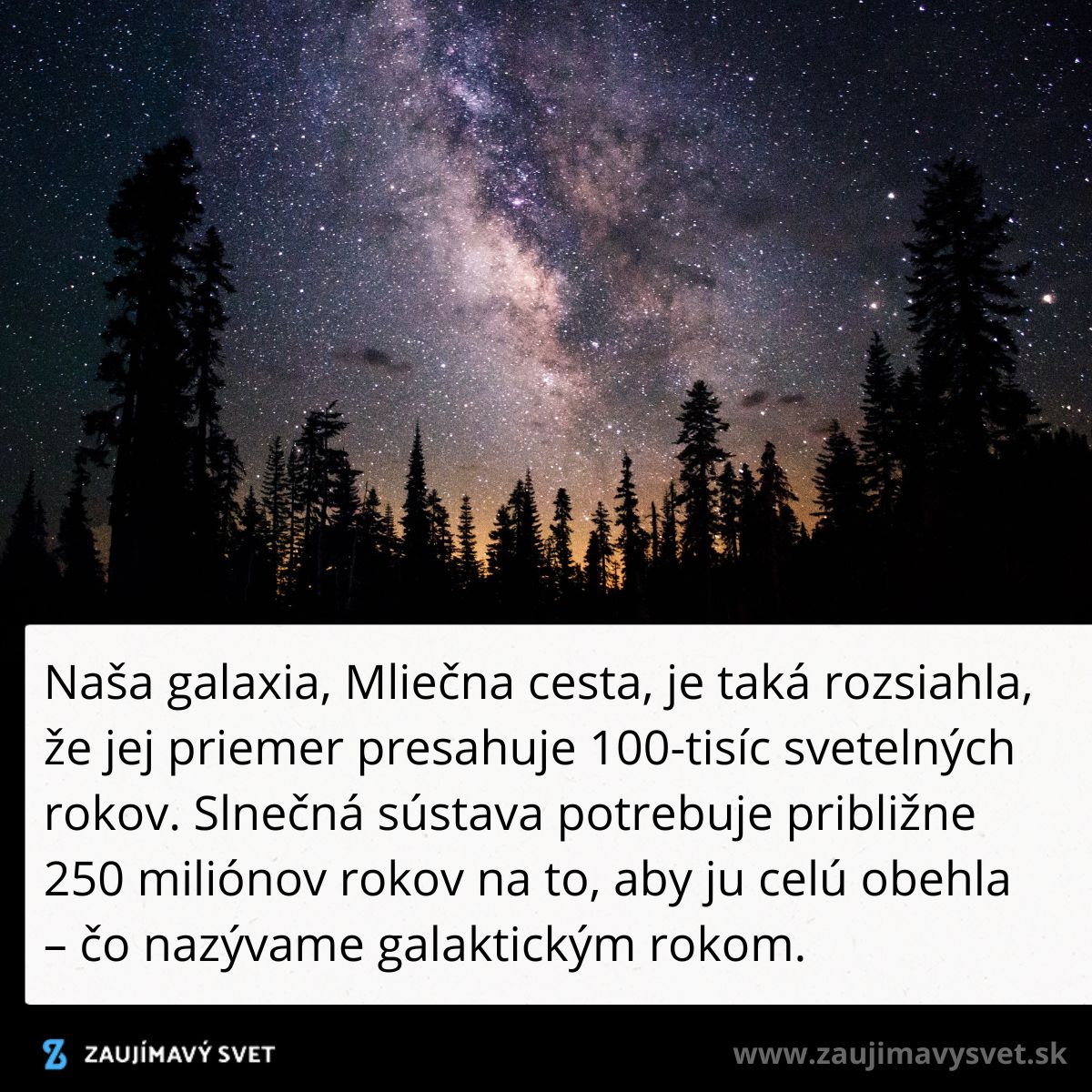 Galaxia Mliečna cesta v noci s lesom v popredí; hviezdna obloha plná svetiel.