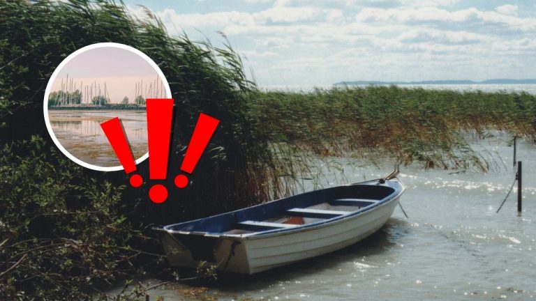 Loďka na vodnej ploche medzi rákosím zobrazená v spoločnosti so symbolom výkričníkov.