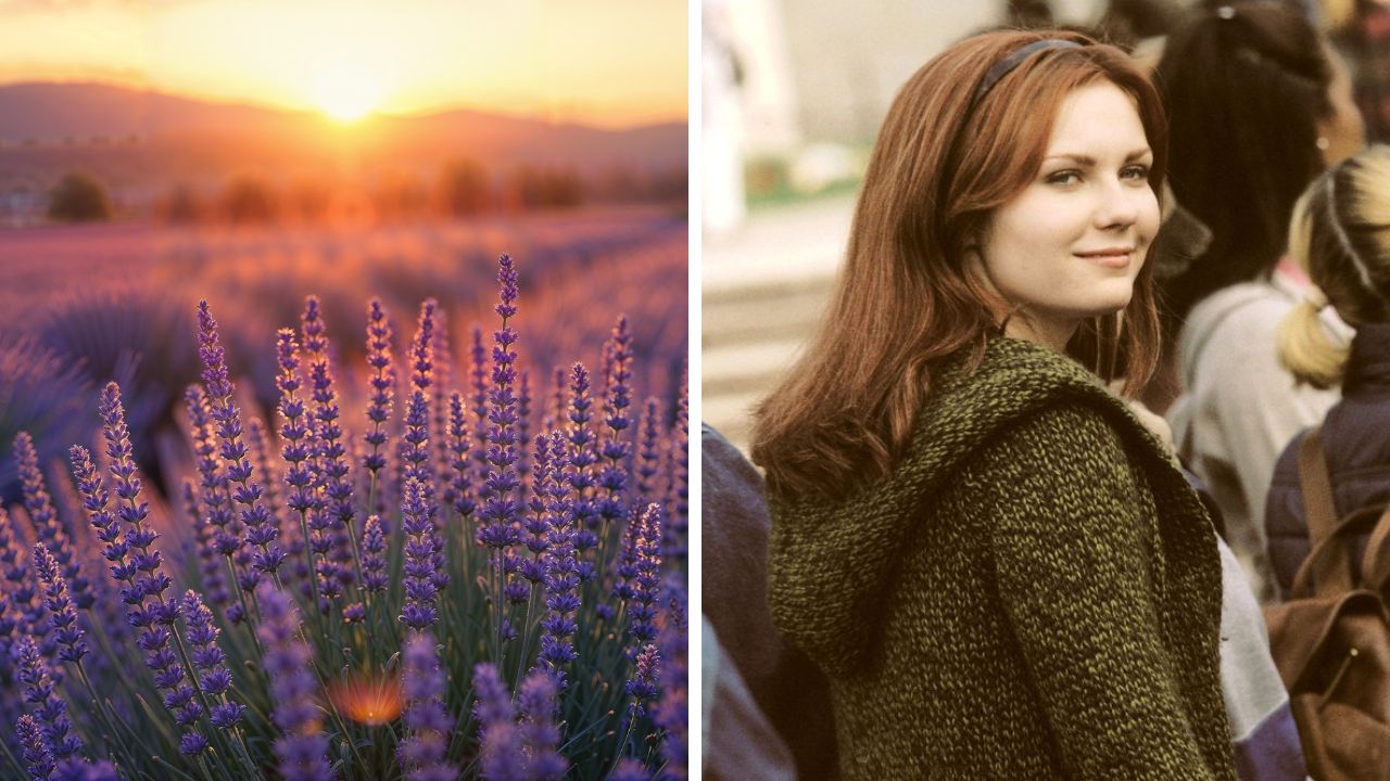 Lavendulové pole pri západe slnka; žena v zelenom svetri sa usmieva v dave.
