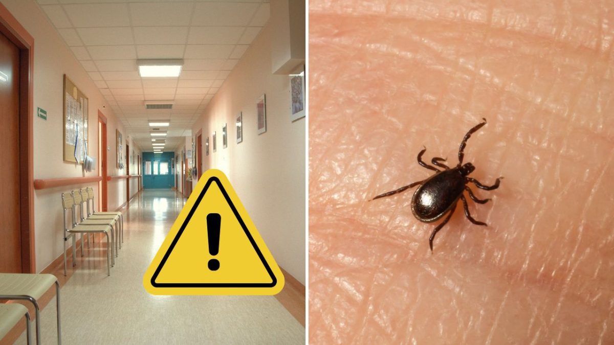 Nemocničná chodba a kliešť na koži upozorňujú na zdravotné riziká a starostlivosť o zdravie.