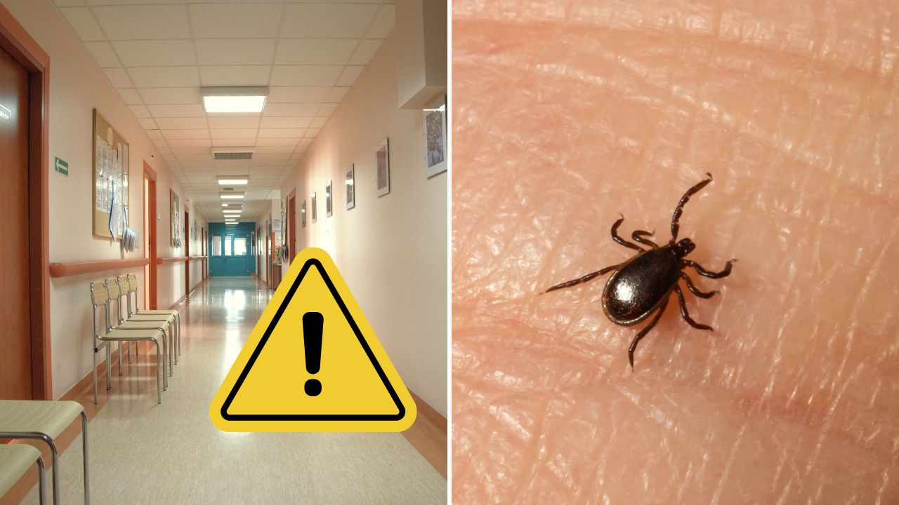 Nemocničná chodba a kliešť na koži upozorňujú na zdravotné riziká a starostlivosť o zdravie.