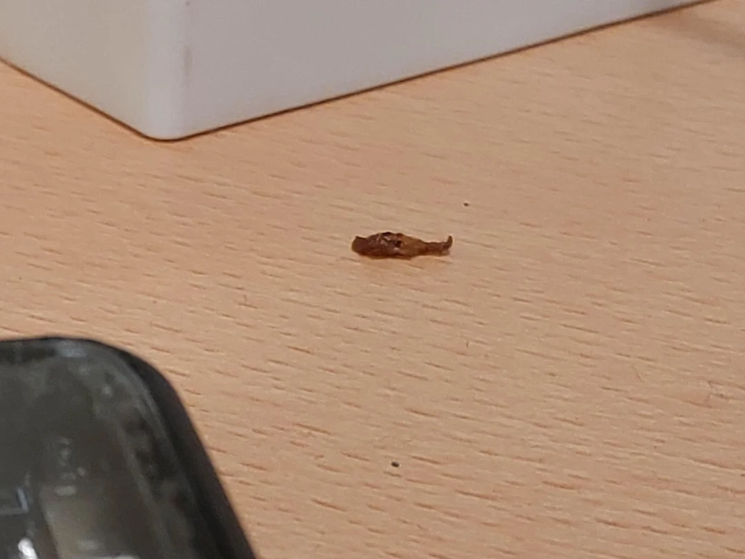 Malý objekt na drevenom stole vedľa bielej krabice a rohu tmavého zariadenia.