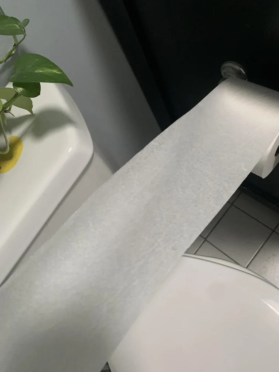 Toaletný papier na držiaku vedľa izbovej rastliny.