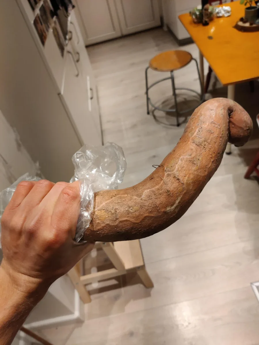 Osoba drží veľký, zakrivený batát v kuchyni, zobrazený zhora na bledom drevenom povrchu.