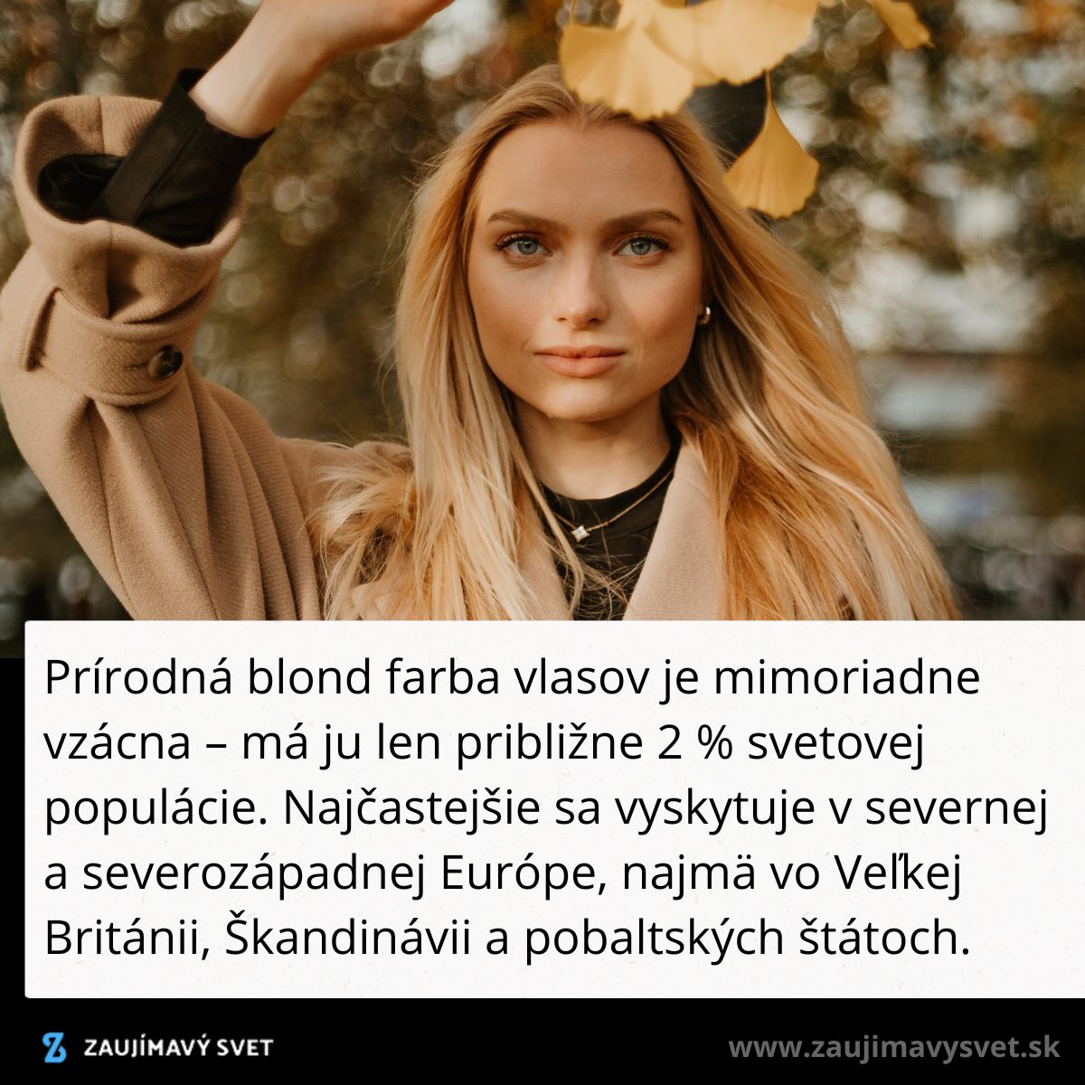Žena s blond vlasmi v jesennej prírode drží lístok, vzácna farba vlasov je bežná v severnej Európe.