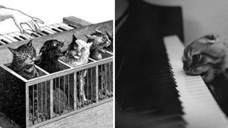 Katzenklavier: Najtemnejší hudobný nástroj histórie, ktorý sa našťastie nikdy neuplatnil! Využíval mučenie mačiat.