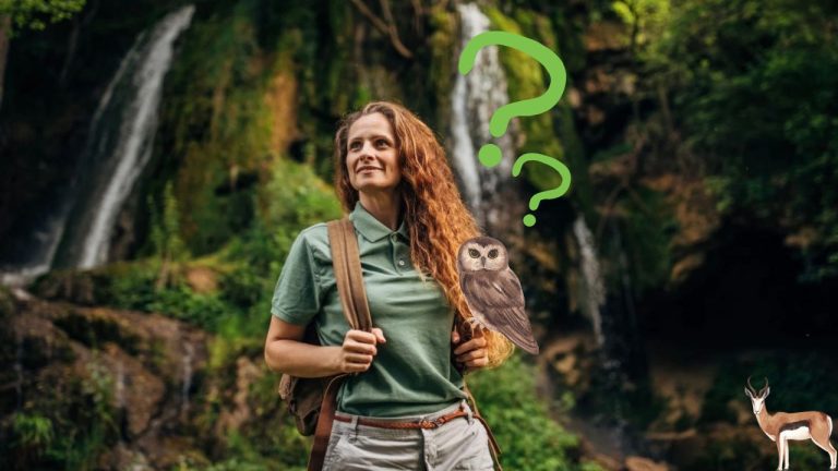 Poznáte slovenské lesy, lúky či rieky a živočíchy, ktoré v nich žijú? Otestujte sa!