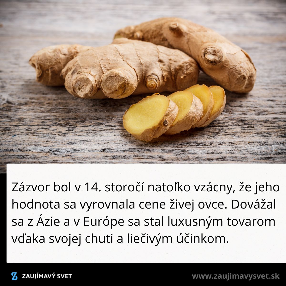 Čerstvý zázvor na stole, popisujúci jeho hodnotu a popularitu v Európe počas 14. storočia.