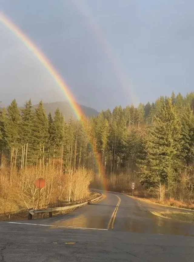 Dvojitá dúha nad lesnou cestou obklopenou stromami, prírodná scenéria za slnečného dňa.