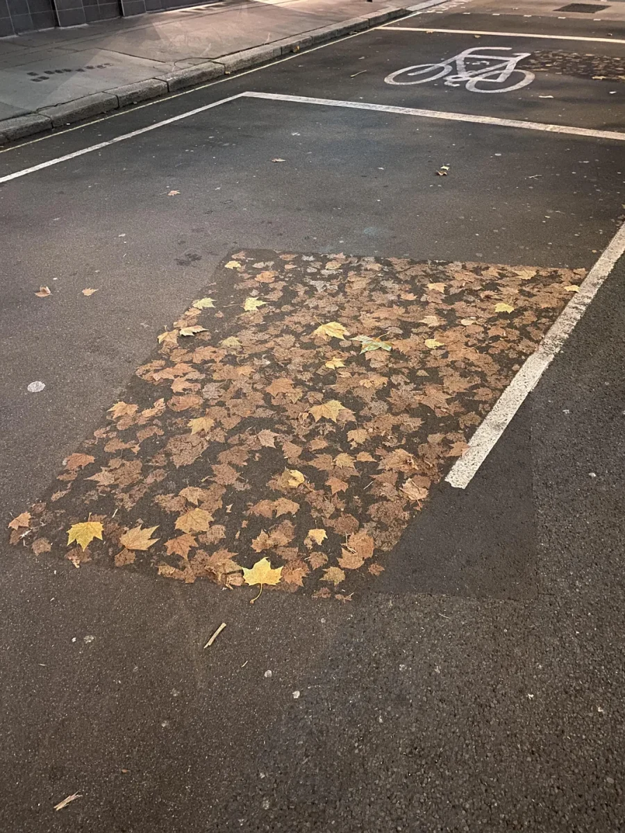 Na parkovisku je obdĺžnikový vzor z jesenných listov, zanechaný po odstránení auta.