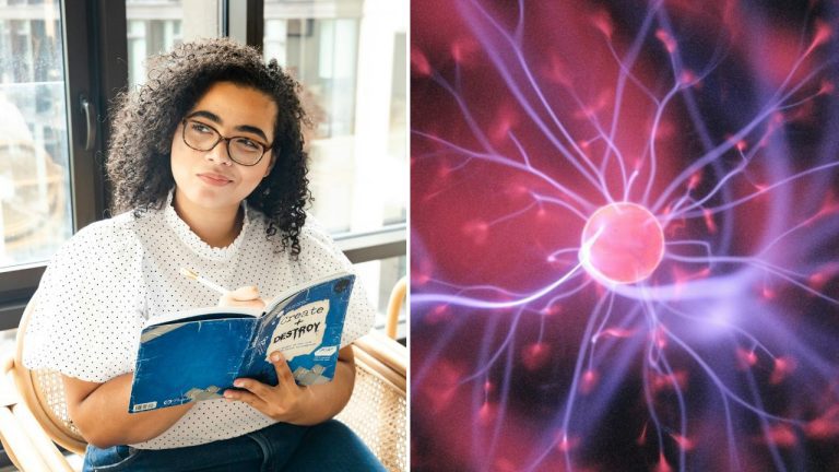 10 úžasných faktov o ľudskom mozgu, o ktorých sa vám ani nesnívalo