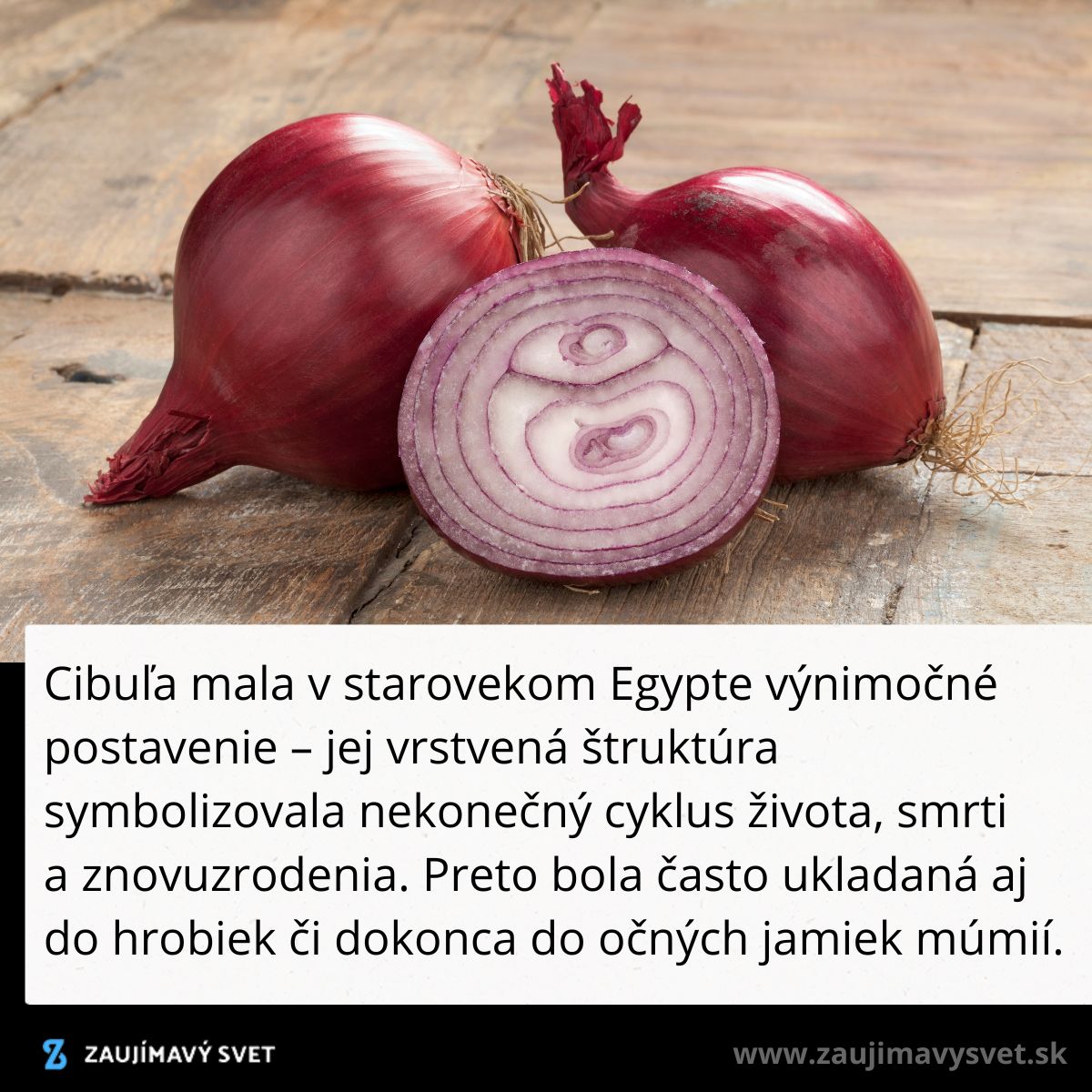 Červená cibuľa na drevenom pozadí, symbolizujúca cyklus života v starovekom Egypte pre svoju vrstvenú štruktúru.