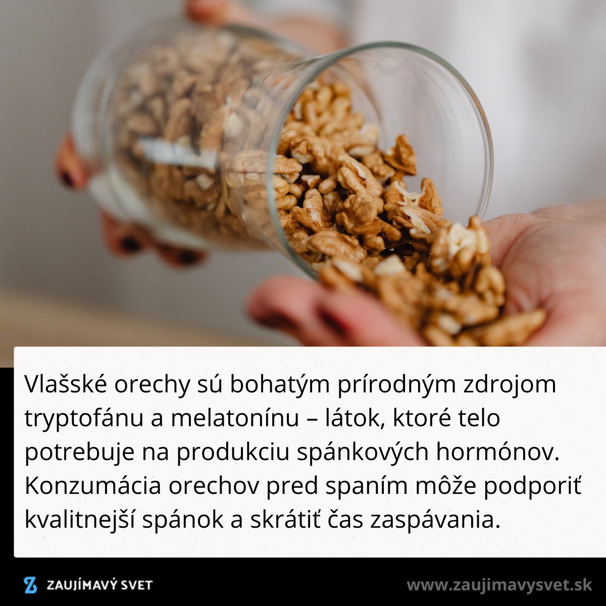 Osoba sype vlašské orechy z pohára do ruky; orechy sú známe svojimi prínosmi pre spánok.