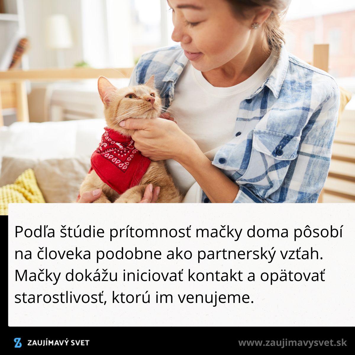 Žena drží mačku s červenou šatkou, vychutnávajúc si spoločné chvíle plné lásky a starostlivosti.